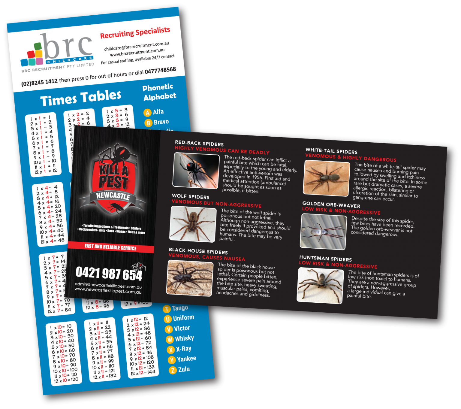 Purchase Promotional Fridge Standard DL Size